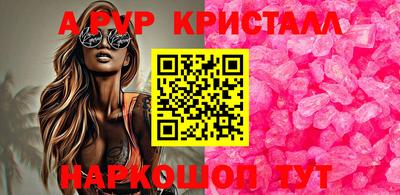 СК Беслан