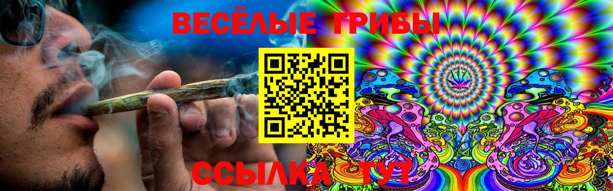 Псилоцибиновые грибы Psilocybine cubensis Городец