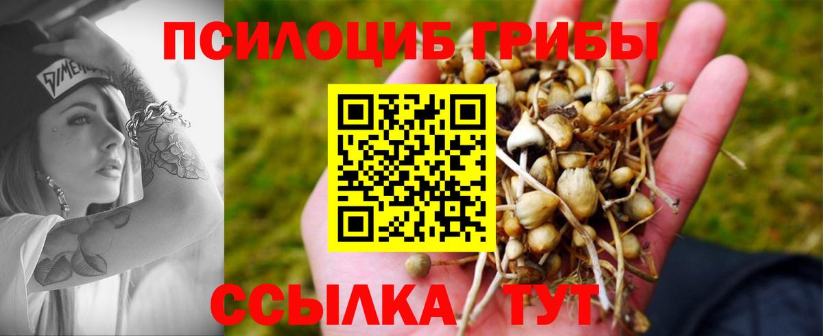 наркота  Вход с VPN  Городец  Псилоцибиновые грибы мухоморы 